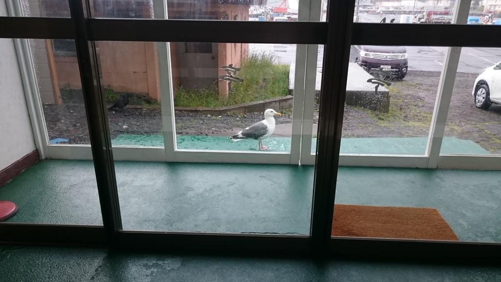 Ryokan Saihokutei Rishirifuji Luaran gambar